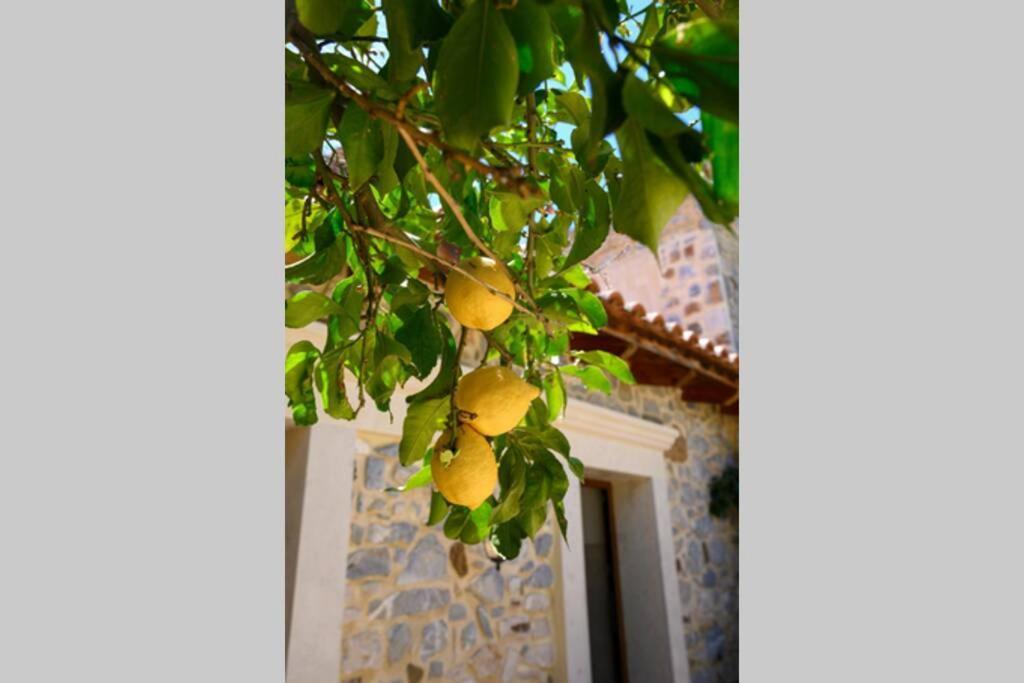 Marigoula House Villa Pombia Bagian luar foto